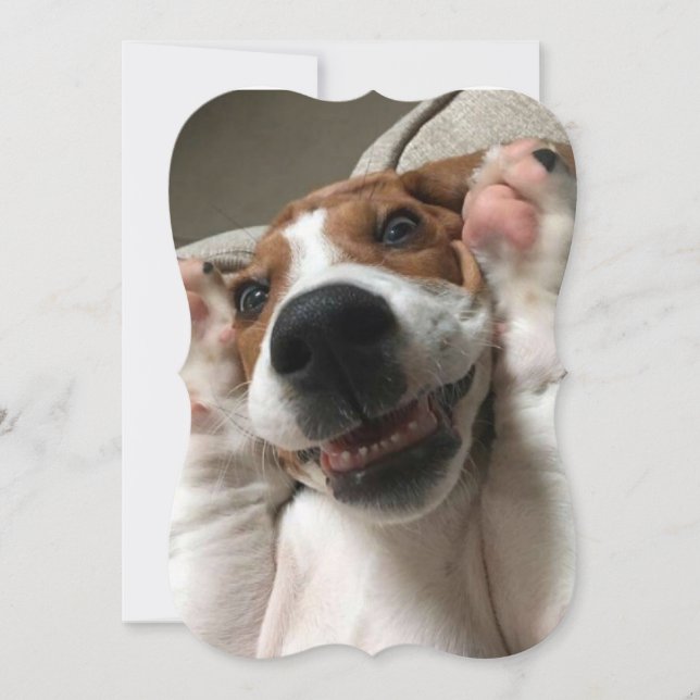 Peek a Boo Dog Card (Front)