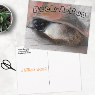 Peek-A-Boo I Miss You Siamese Kitten Under Blanket Postcard