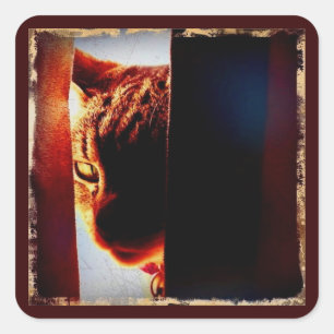 Peek-a-boo Indigo Square Sticker