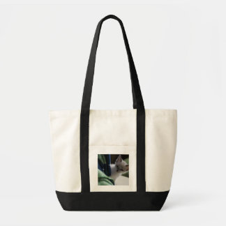 Peek-A-Boo Kitten Bag