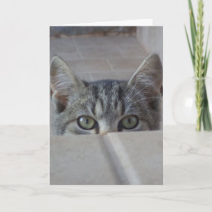 Peek-a-boo kitten Birthday Card