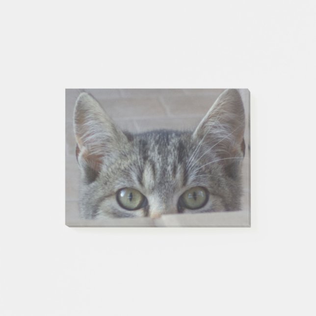 Peek-a-boo kitten post-it notes (Front)