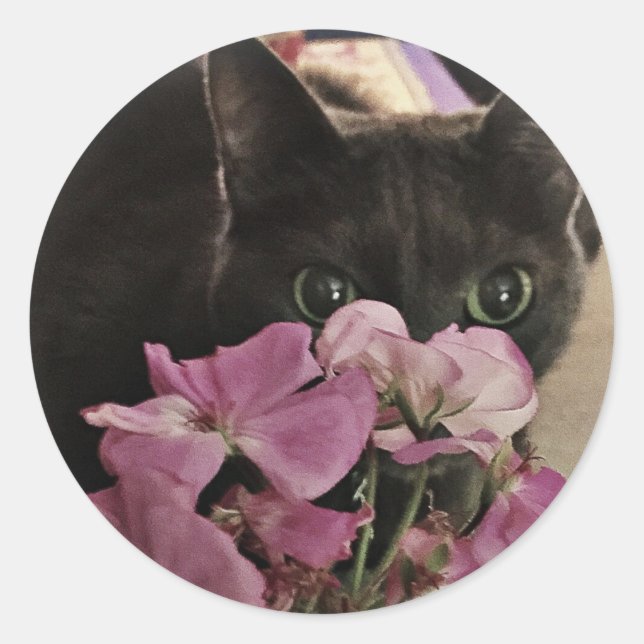 Peek-a-Boo Kitty Stickers (Front)