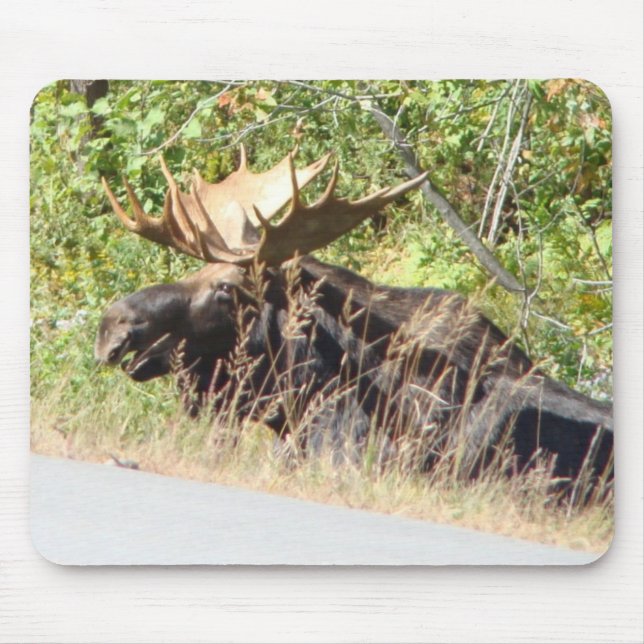 Peek-a-Boo Moose Mousepad (Front)