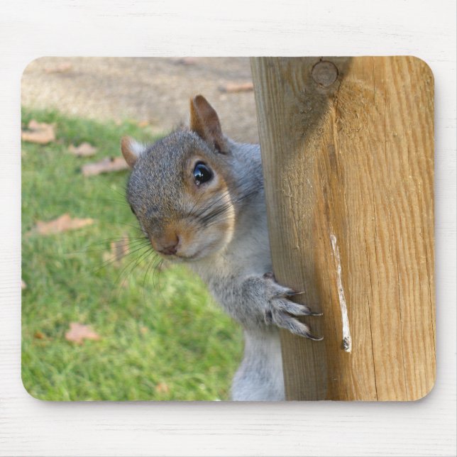 Peek-a-Boo! Mouse Pad (Front)