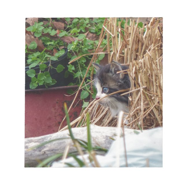 Peek-a-Boo Notepad (Front)