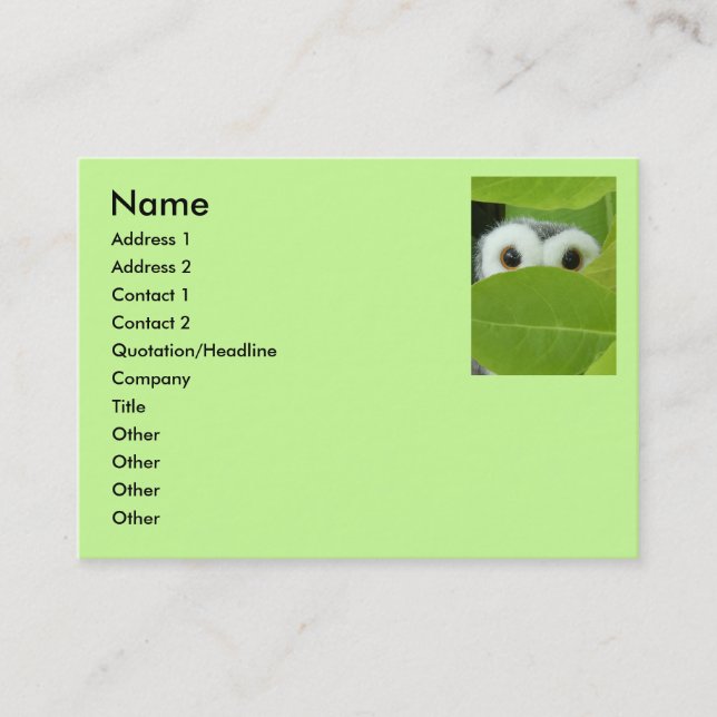 Peek A Boo Owl Business Card (Front)