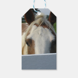 Peek a Boo Palomino Horse Behind Fence Gift Tags