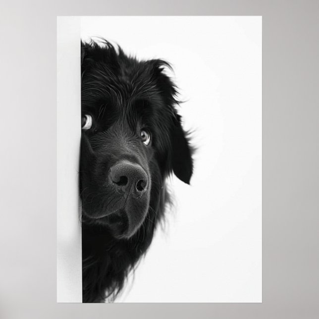 Peek-a-Boo Pup – Funny Dog Photography Print” Poster (Front)