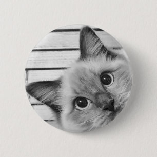 Peek-a-boo Ragdoll 6 Cm Round Badge