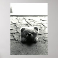 Peek-a-Boo Teddy
