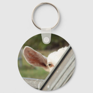 Peek a boo white goat! Cute goat waiting picture Key Ring