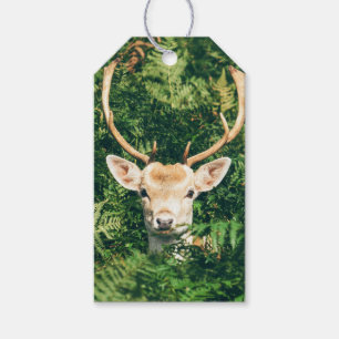 Peek a Deer Gift Tags