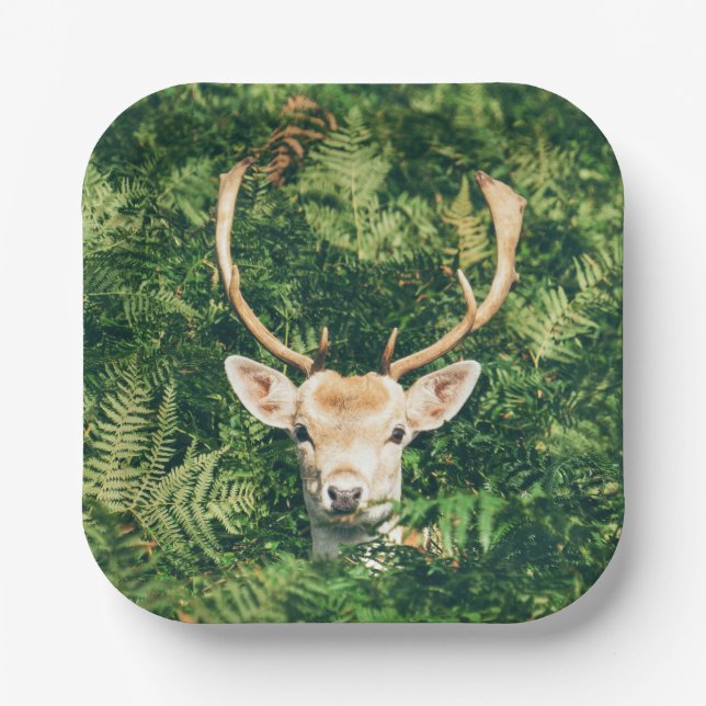Peek a Deer  Paper Plate (Front)
