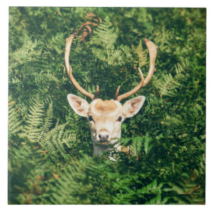 Peek a Deer Tile