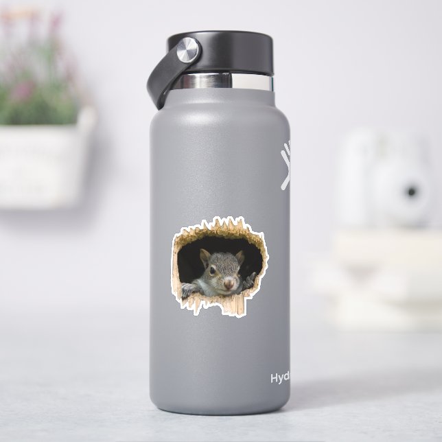 Peek. - Grey Squirrel (HydroFlask)