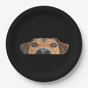 Peekaboo Dog Paper Plate