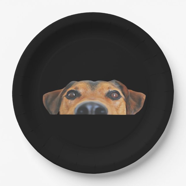 Peekaboo Dog Paper Plate (Front)
