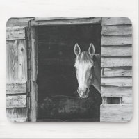 Peekaboo Grey Mare Horse
