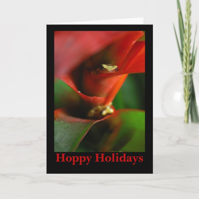 Peekaboo Holiday Card (Front)