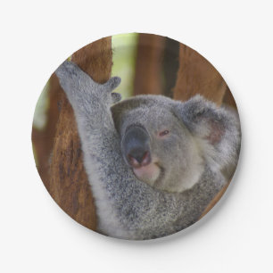 Peekaboo Koala Plate