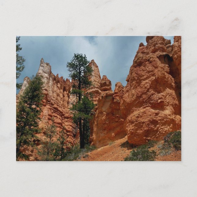 Peekaboo Loop to Bryce Point  Bryce Canyon Nationa Postcard (Front)