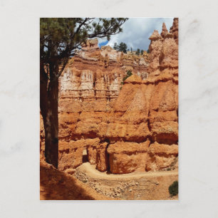 Peekaboo Loop to Bryce Point Bryce Canyon Nationa Postcard