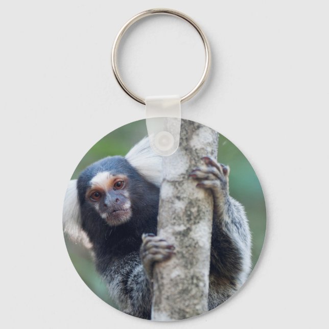 Peekaboo marmoset (Callithrix jacchus) Key Ring (Front)