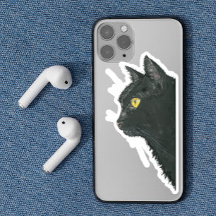 Peeking Black Cat Kitty Face