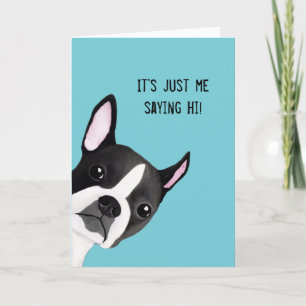 Peeking Boston Terrier Illustrated Greeting Card