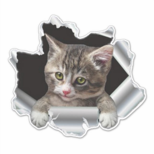 Peeking Cat Vinyl Decal |Car decal, Bumper sticker (Front)