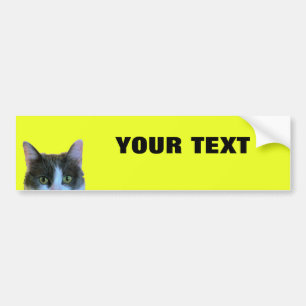 Peeking Cat Your Text "Folio Extra Bold" on Yellow Bumper Sticker