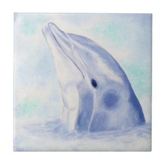 Peeking Dolphin Square Tile