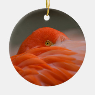 Peeking Flamingo Ceramic Tree Decoration