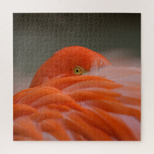 Peeking Flamingo Jigsaw Puzzle
