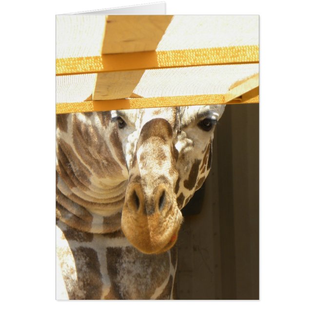 Peeking giraffe card (Front)