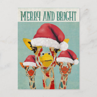 Peeking Giraffes Christmas Postcard