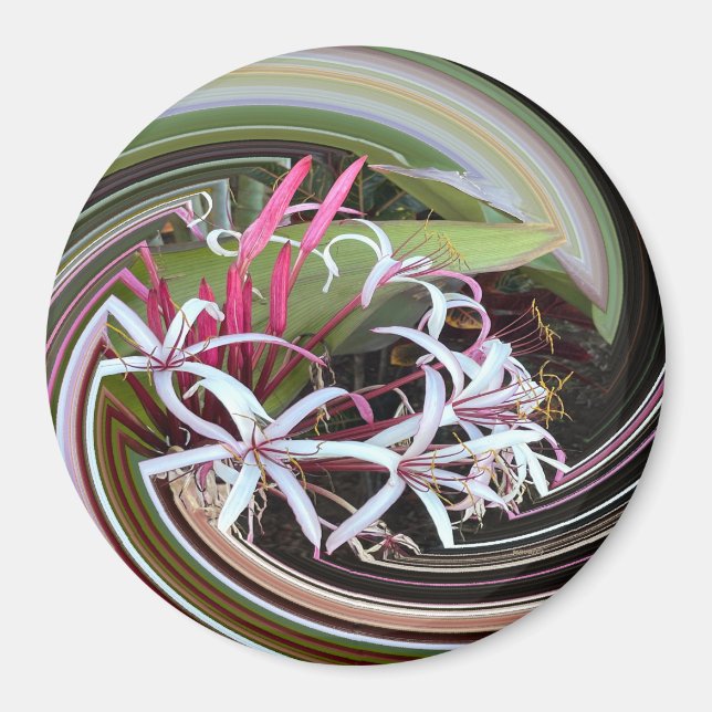 Peeking out..... magnet (Front)