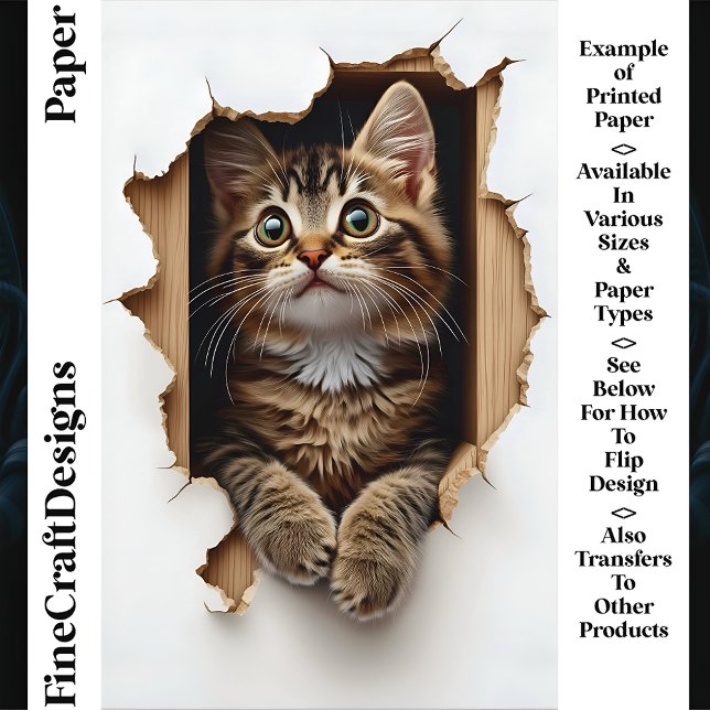Peeking Out Of Hole Tabby Cat CN5 Scrapbook Paper (Creator Uploaded)