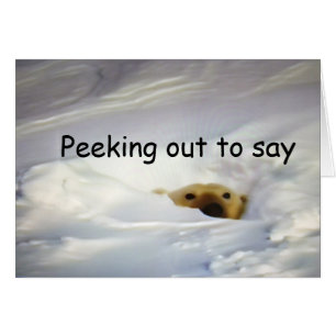 "PEEKING OUT TO SAY" (BLANK CARD)