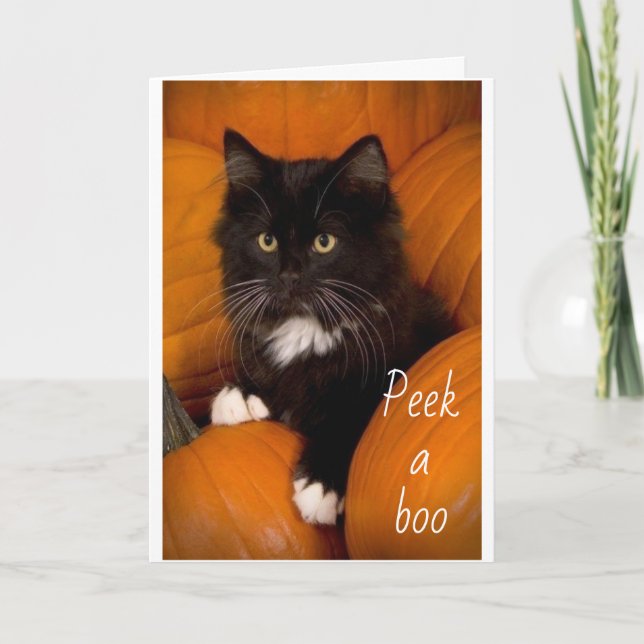 PEEKING OUT TO SAY **HAPPY 2nd BIRTHDAY** to YOU  Card (Front)