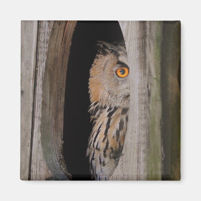 Peeking Owl Lover Refrigerator Magnet (Front)