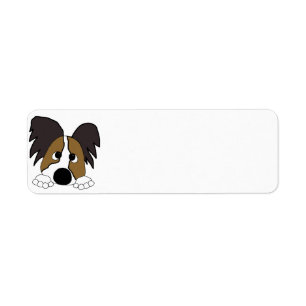peeking papillon