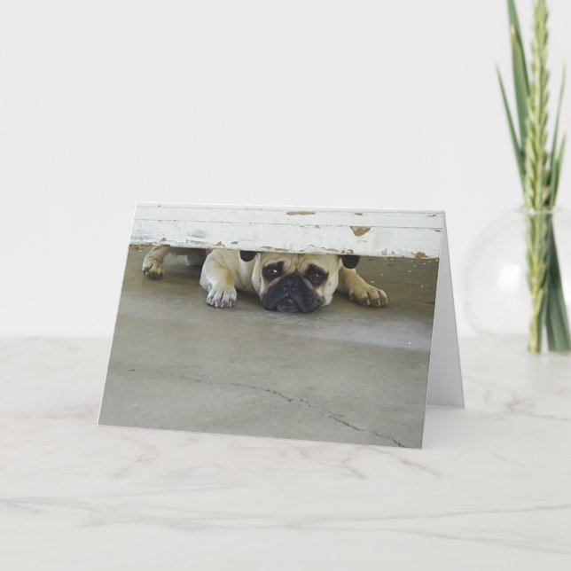 Peeking Pug Greeting Card - Blank Inside (Front)