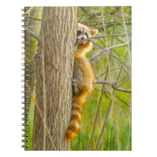 Peeking Racoon Watercolor Artwork Notebook
