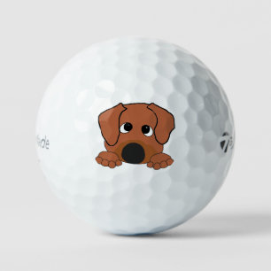 peeking rhodesian ridgeback red wheaten brown nose golf balls