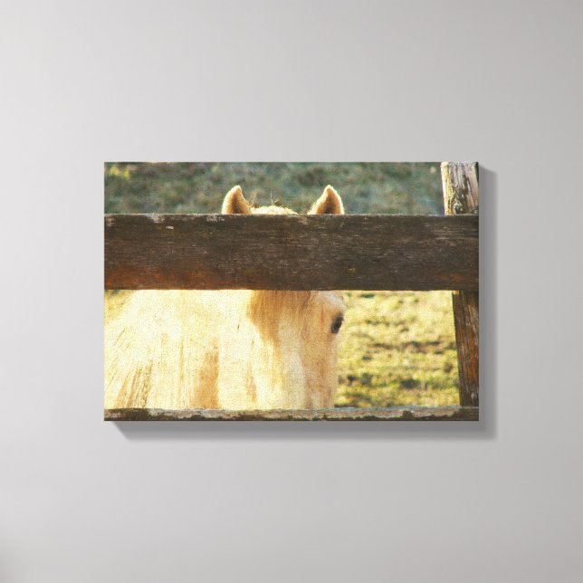 Peeking Though The Fence Canvas Print (Front)