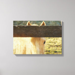 Peeking Though The Fence Canvas Print