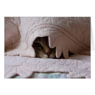 Peeking Tom card
