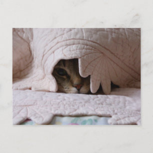 Peeking Tom postcard